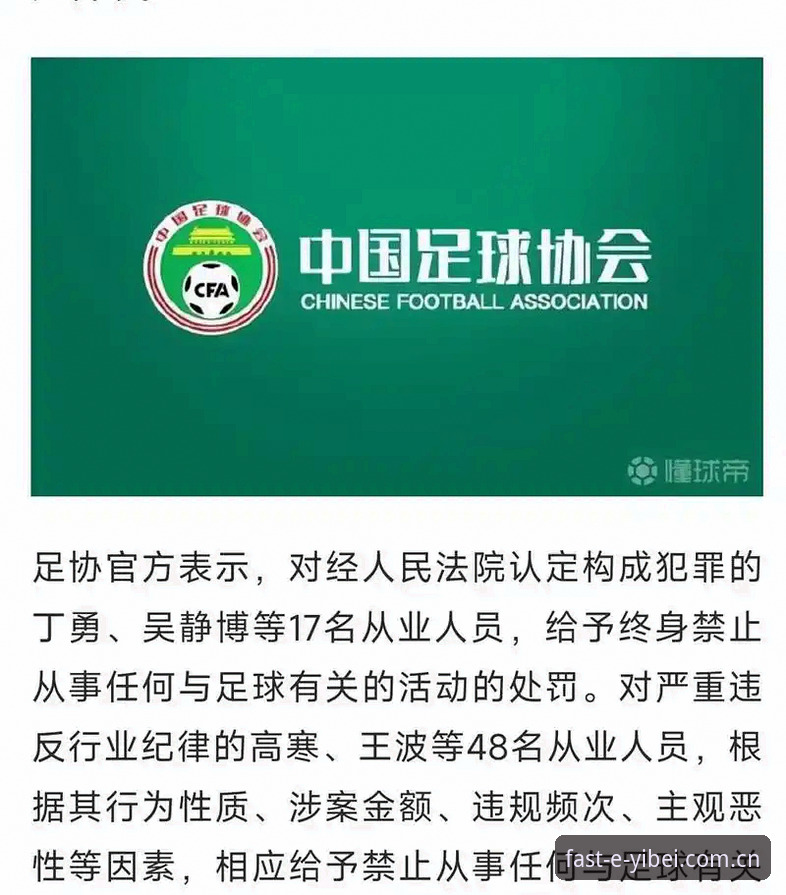 足协第三批禁足名单发布：17人终身禁赛、48人面临不同期限禁赛的7个关键细节